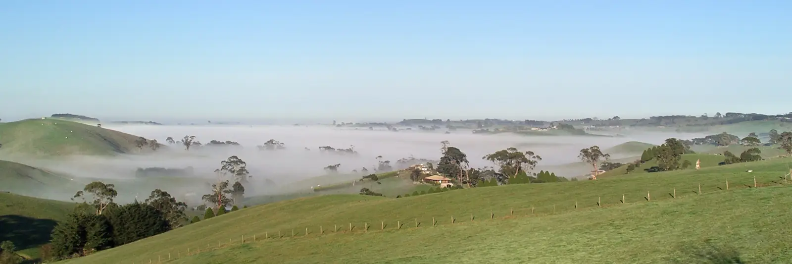 Rolling farmland and trees in South Gippsland, Victoria